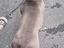 Immagine 6