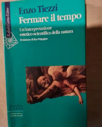 Enzo Tiezzi -  Fermare il tempo 