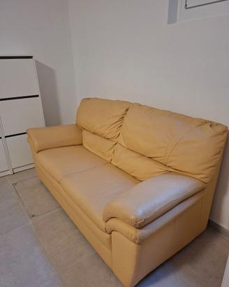 Divano in pelle due posti