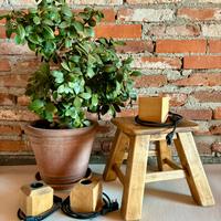 Lampade in legno artigianali