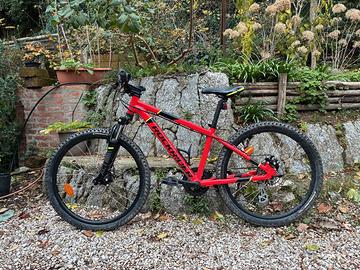 Mountain bike bambino 9-12 anni