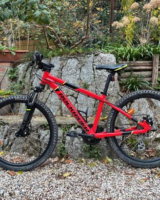 Mountain bike bambino 9-12 anni