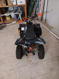 quad motorino