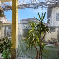 telo trasparente pvc 3x4 mt