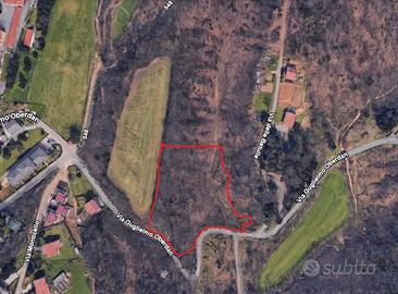 Bosco a Venegono Superiore (Va)-Parco Pineta