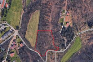 Bosco a Venegono Superiore (Va)-Parco Pineta