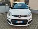 fiat-panda-1-2-8v-easy-11-2020