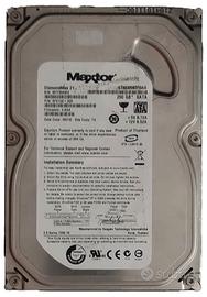 Hard Disk 3,5 pollici MAXTOR sata 3 - 250GB