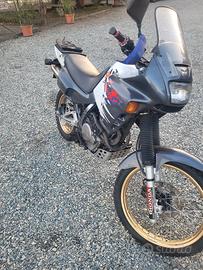 honda dominator 