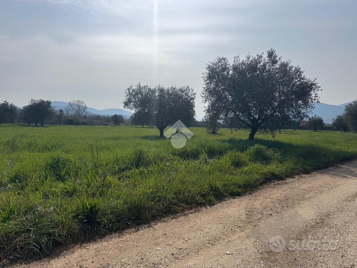 TER. AGRICOLO A VENAFRO - Vista 4