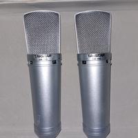 2 MIC TAKSTAR SM 10 B