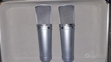 2 MIC TAKSTAR SM 10 B