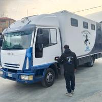 Trasporto cavalli