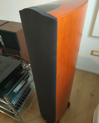 Paradigm Signature Reference S6 s2 