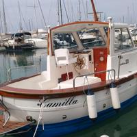 Sciallino 20 - 110cv TROLLING VALVE