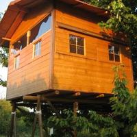 Casa sull'albero 