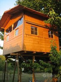 Casa sull'albero 