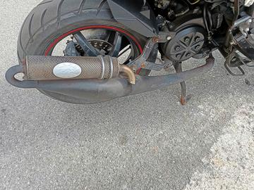 leovinci usata 6 mesi