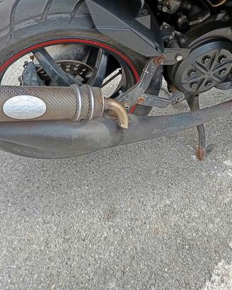 leovinci usata 6 mesi