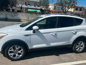 Kuga eccellenti condizioni