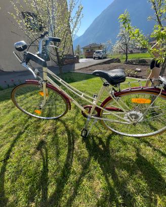 Bicicletta