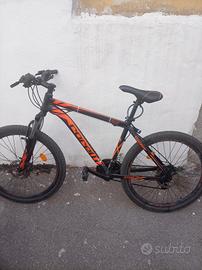 bicicletta ragazzi