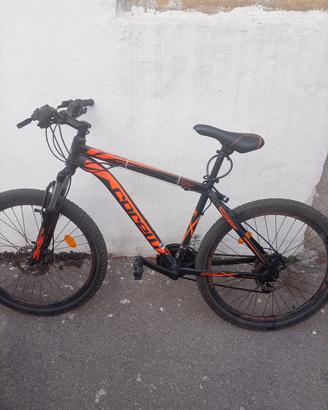 bicicletta ragazzi