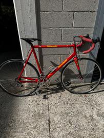 Bici da corsa boschetti
