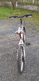 Bicicletta.