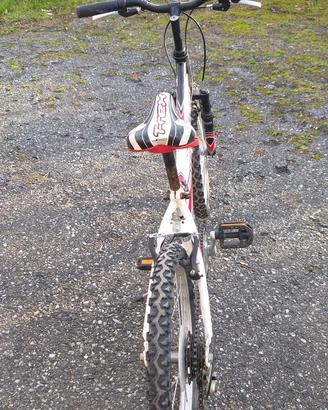 Bicicletta.