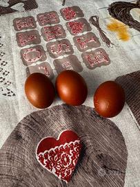 galletti marans e Oliver Egger 