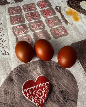 galletti marans e Oliver Egger 