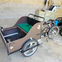 trike cargo pedalata assistita 