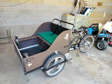 trike cargo pedalata assistita 