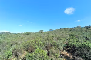 Terreno di 26000 m² a Olbia