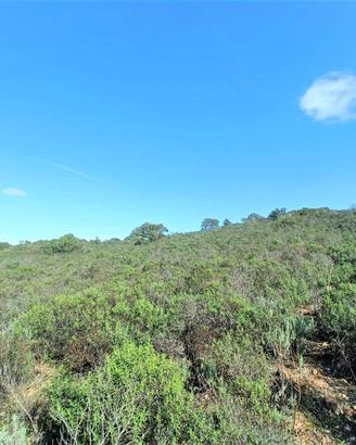 Terreno di 26000 m² a Olbia