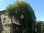 Immagine 3