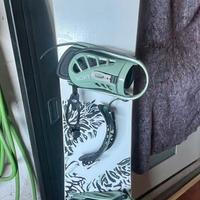 Snowboard Roxy Raina con attacchi da Donna