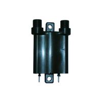 Bobina Honda Silverwing 400 / 600 - CBF 600