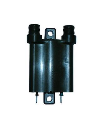 Bobina Honda Silverwing 400 / 600 - CBF 600