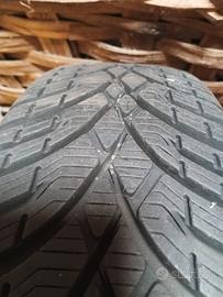 Gomme antineve