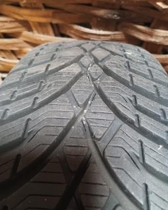 Gomme antineve