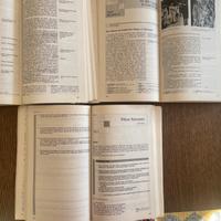 Corso completo di Letteratura Inglese con esercizi