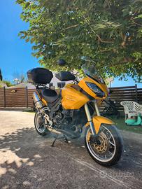 Triumph Tiger 