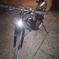 bicicletta pedalata assistita