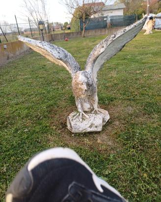aquila di cemento 