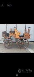 Carrozza cavalli