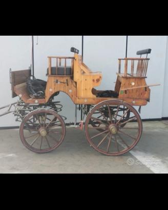 Carrozza cavalli