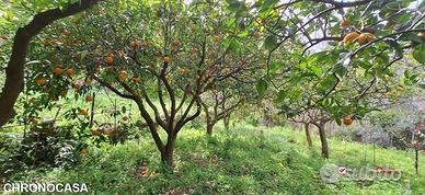 Rometta, funzionale terreno agricolo terrazzato