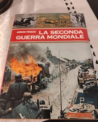 Enciclopedia " Guerra Mondiale " Ed. Curcio